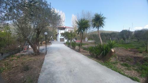 Diamond Farm Villa