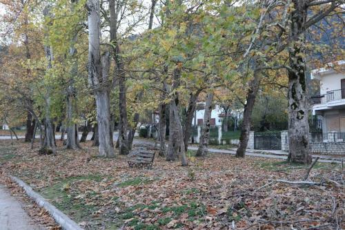 Apartamento Dream Mountain House