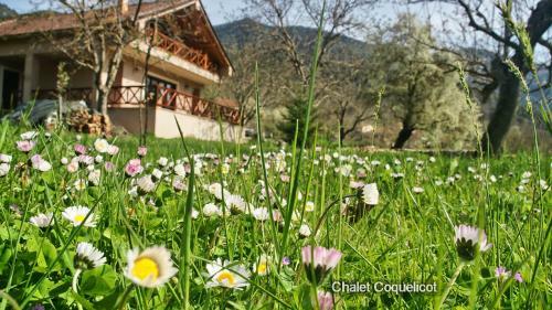 Chalet Coquelicot (co-cli-co) Relax In Nature