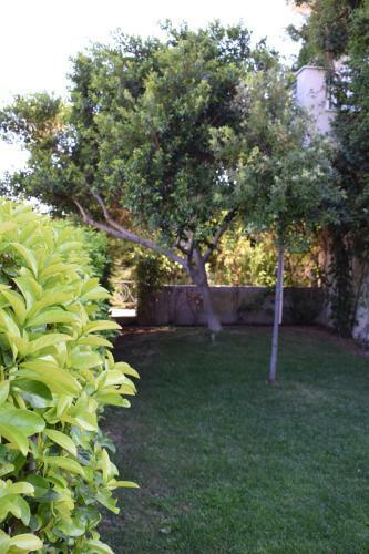 The White Villa Lagonisi