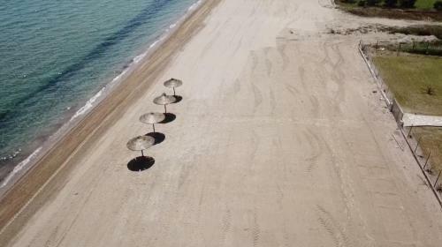 Apartamento Beach Bird Eagle