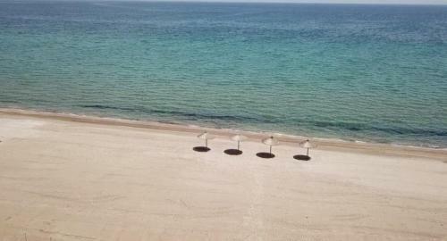 Apartamento Beach Bird Eagle