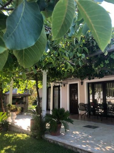 Little Villa