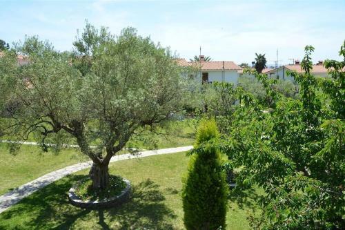 Halkidiki Family House