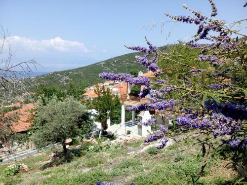 Agroturismo Dimitra's Garden Villa
