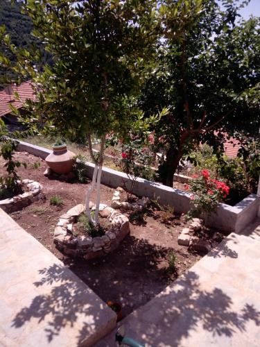 Agroturismo Dimitra's Garden Villa