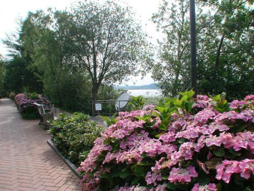 Hostal Pension Anker