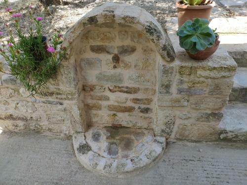 Green Farm-small Paradise!