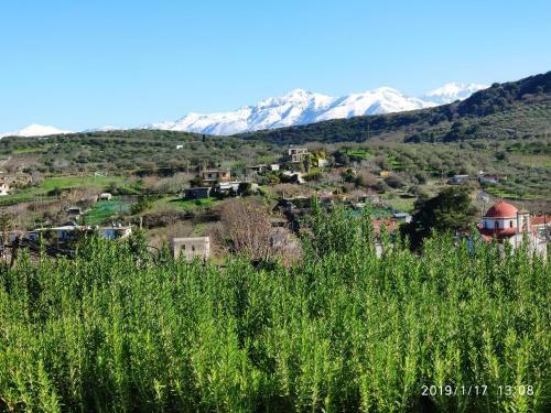 Green Farm-small Paradise!