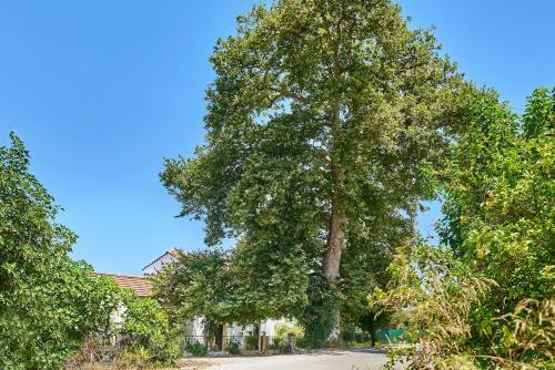 Villa Platanos Stone House