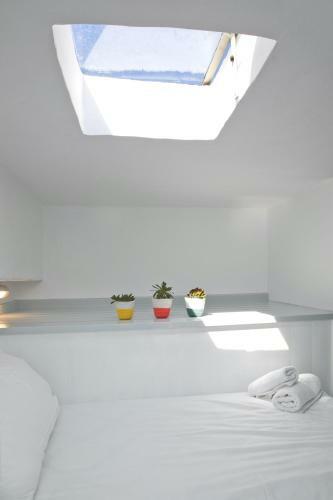 Scaleri Port Home