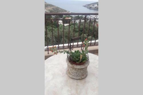 Nikis Seaside House