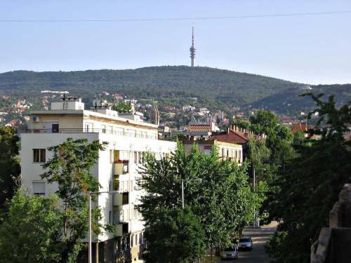 Startpont Apartman