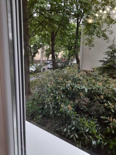 Apartamento P�cs Park
