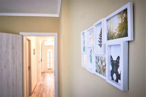 Apartamento P�cs City Life