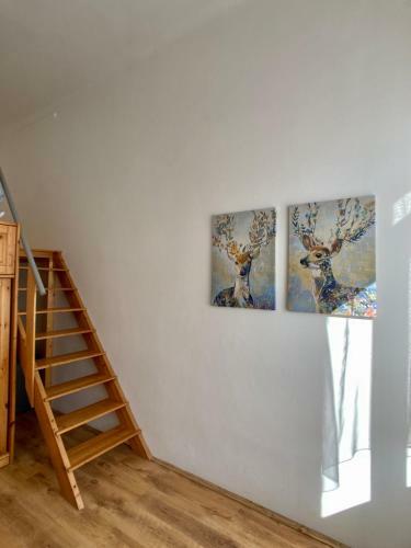 Fl�ri�n Apartman