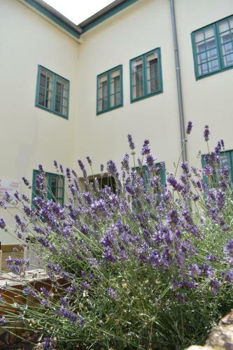 Apartamento Zsolnay Negyed Vend�gh�za
