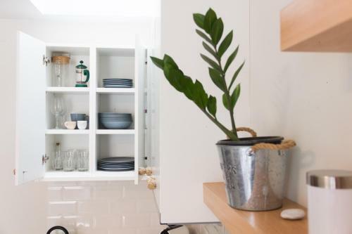 The Central Boutique Apartments