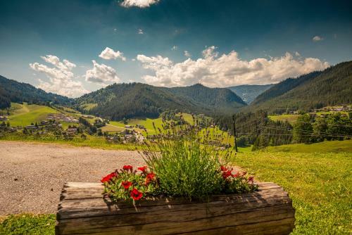 Apartamento Erblehenhof
