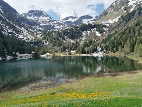Apartamento Appartement Auwald