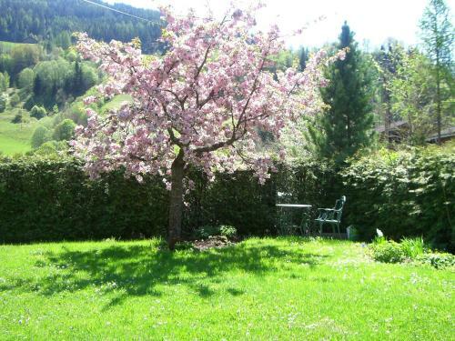 Apartamento Appartements Basti
