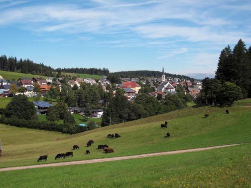Posada Landgasthof Schweizerhaus