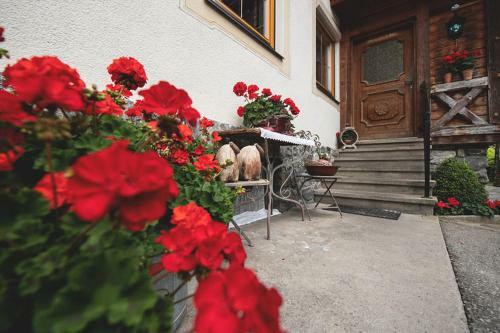 Agroturismo Schusterhof-pondorfer
