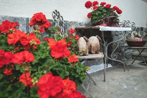 Agroturismo Schusterhof-pondorfer