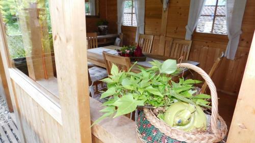 Agroturismo Schusterhof-pondorfer
