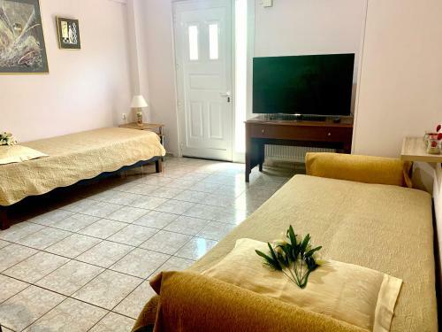 George Airport Apartments