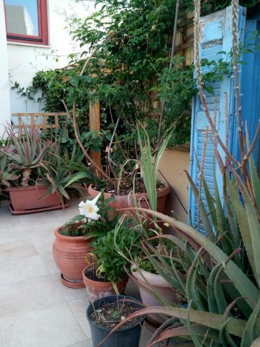 Old Town Heraklion Apartment