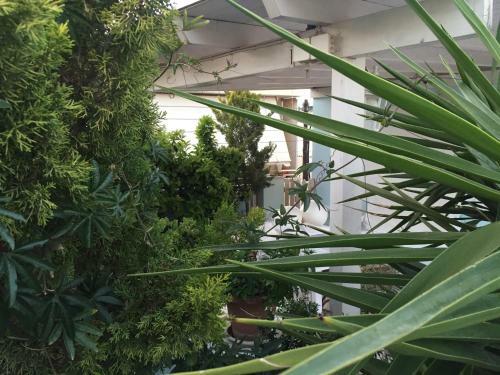 Luxury Modern Apartment 135m2