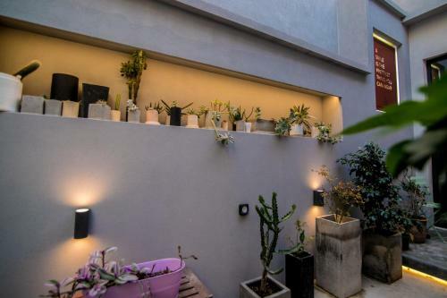 Apartamento Oasis Luxury Place