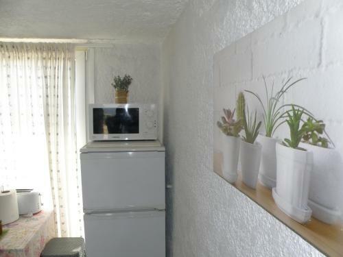 Talos Apartments And Studios