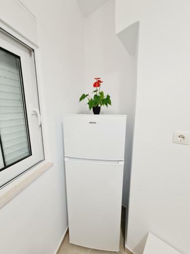 Apartamento "anassa Suites" Studio