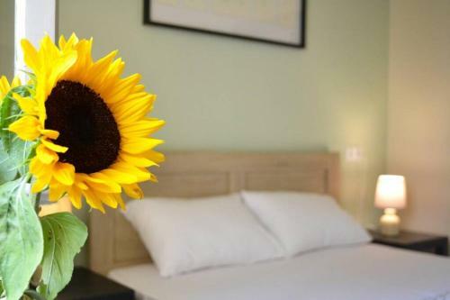Apartamento Sunflower Cozy Apts