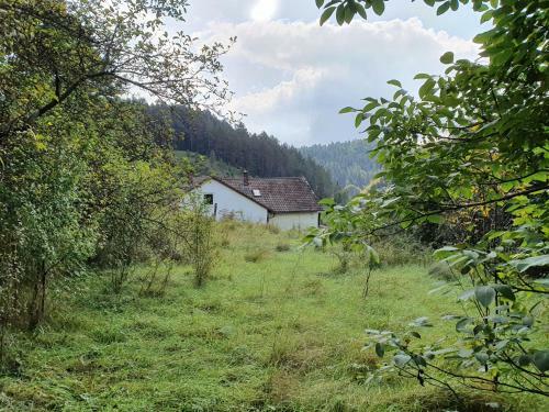 Apartamento Haus Goldfu�