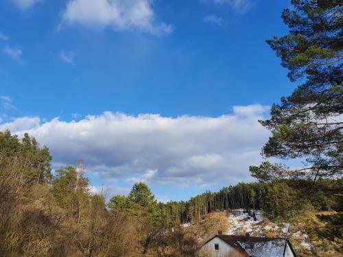 Apartamento Haus Goldfu�