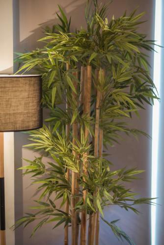 Apartamento Vicus 2 City Center Suite