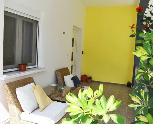 Purgos Colourful Studio