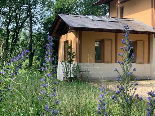 Apartamento Parkchalet Atelier