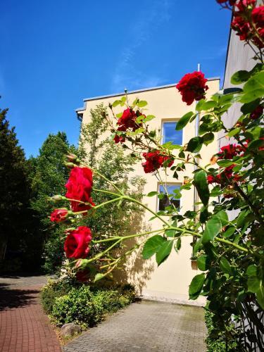 Apartamento Appartement Marl�ne