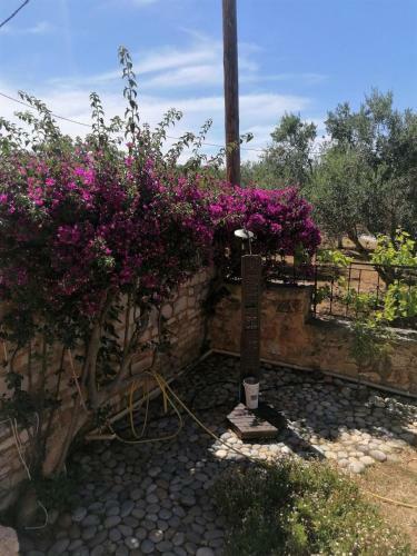 Villa Sar In Kampani Chania