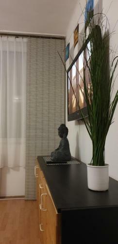 Apartamento Goldapartman Salg�tarj�n