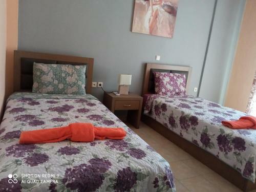 Apartamento Teo's House 1