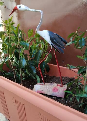 Apartamento Virgin Rocks House