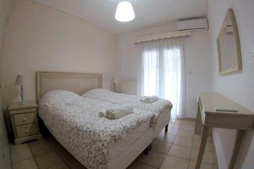 Big Apartment 1 - City Center