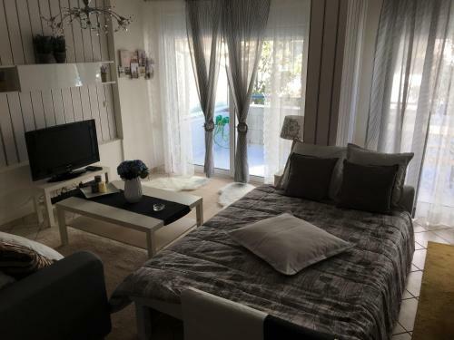 Luxury City Center Apartment