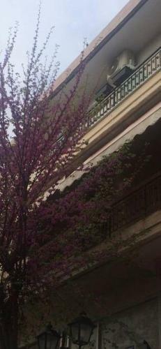 Apartamento Holiday Meteora B