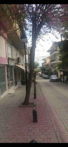 Apartamento Holiday Meteora B